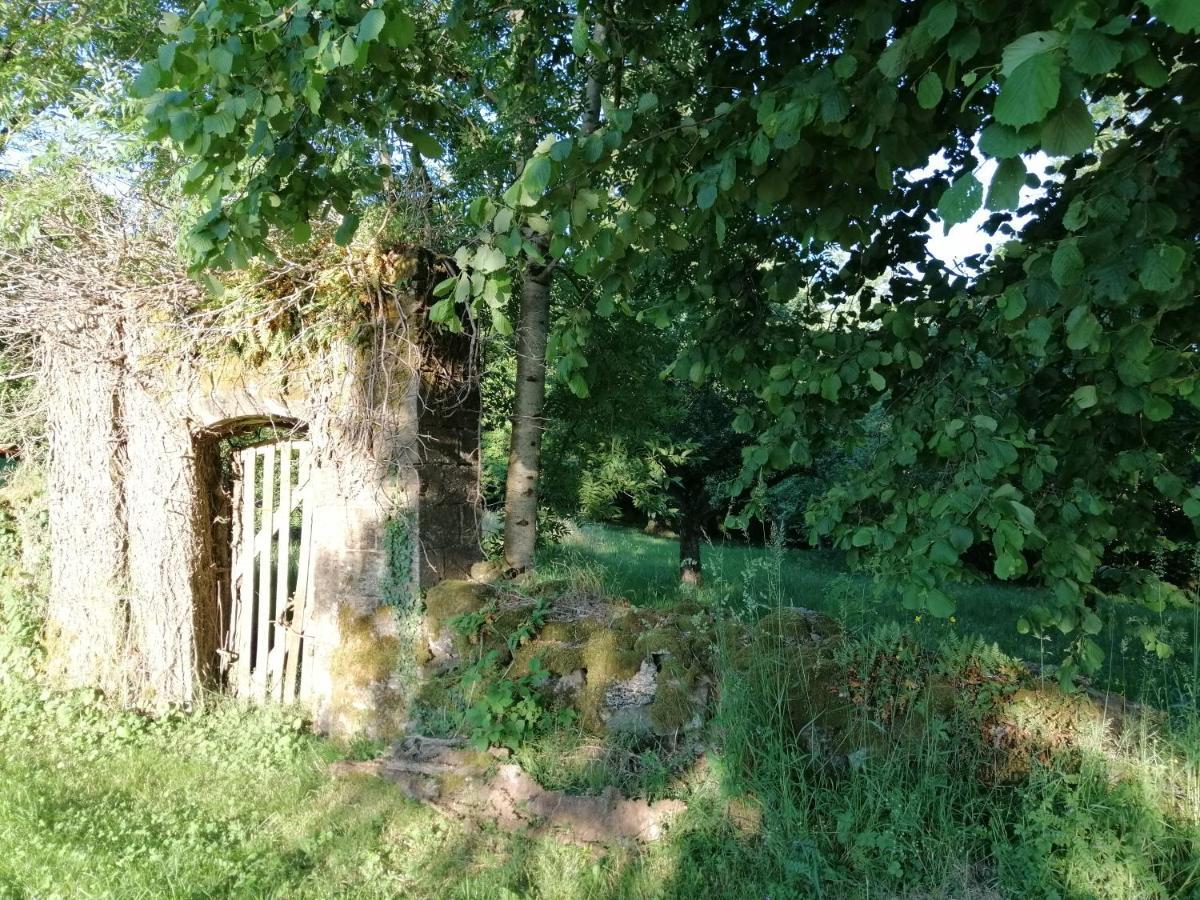 Le Miraillet, Gite Saint-Illide Buitenkant foto