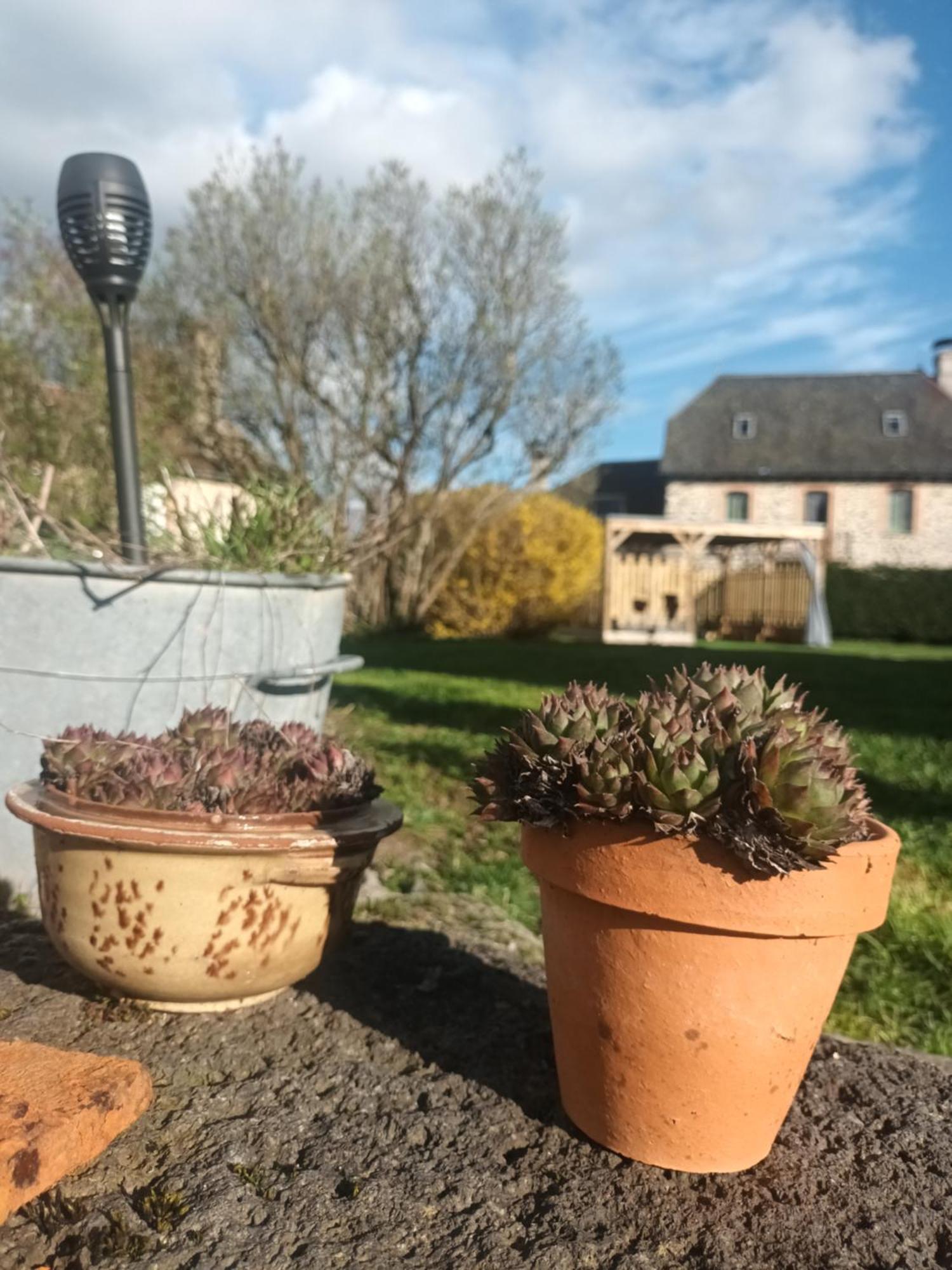 Le Miraillet, Gite Saint-Illide Buitenkant foto