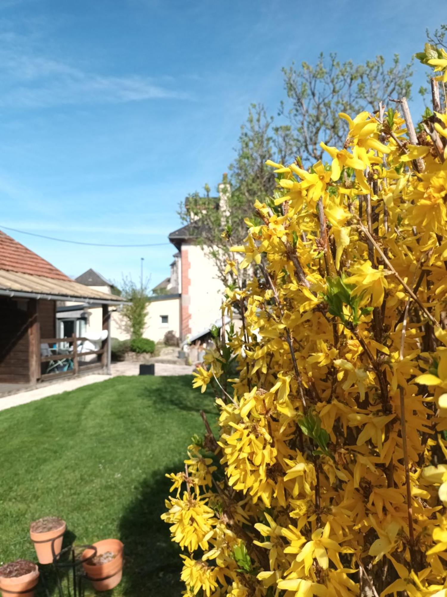 Le Miraillet, Gite Saint-Illide Buitenkant foto
