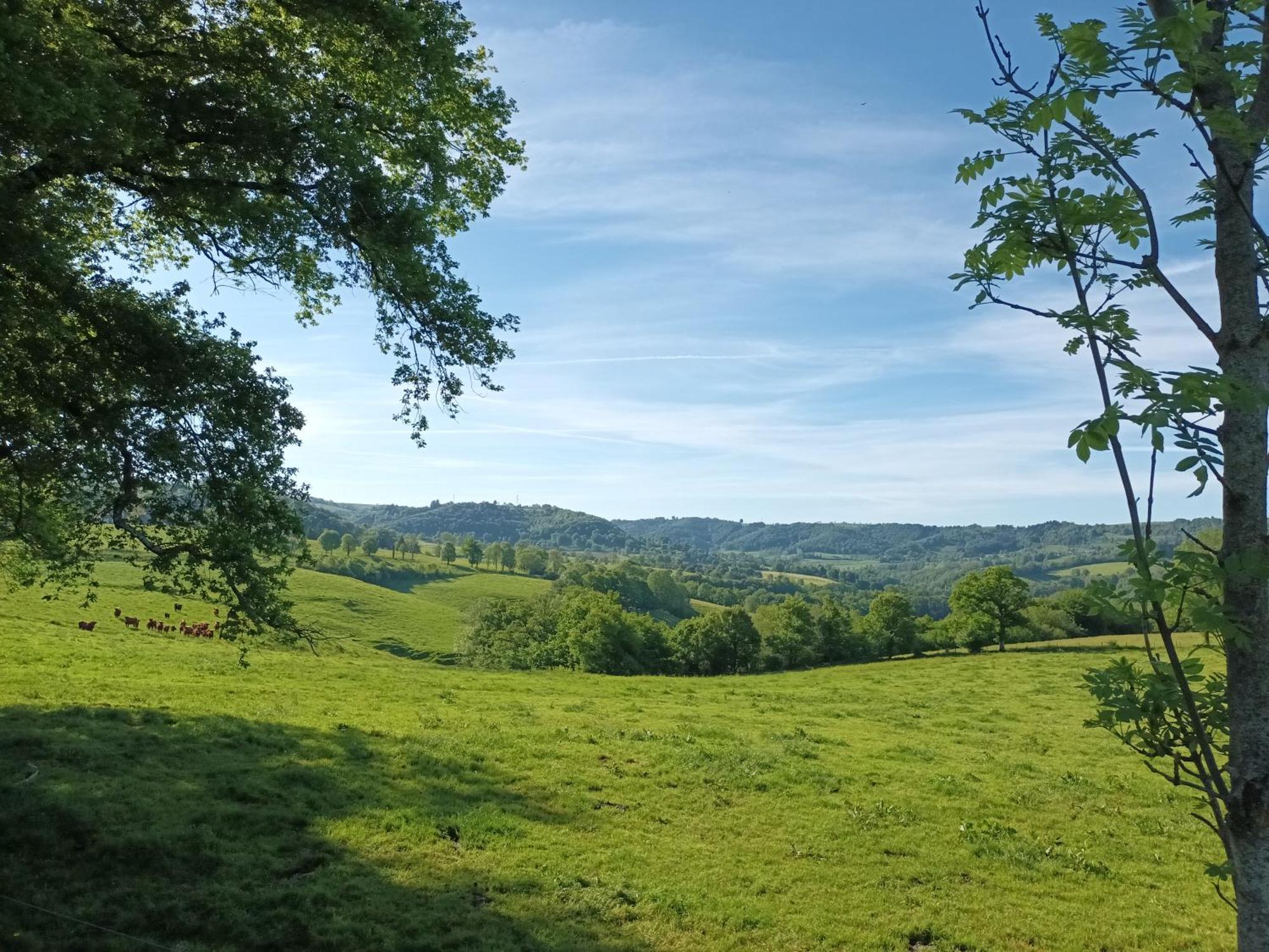 Le Miraillet, Gite Saint-Illide Buitenkant foto
